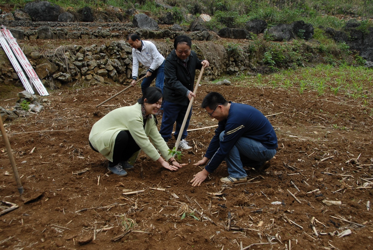 我院赴河池大化扶贫点开展 兴水利、种好树、